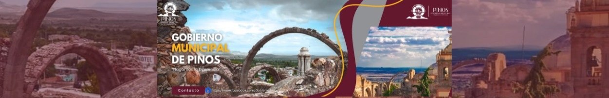 Gobierno de Pinos